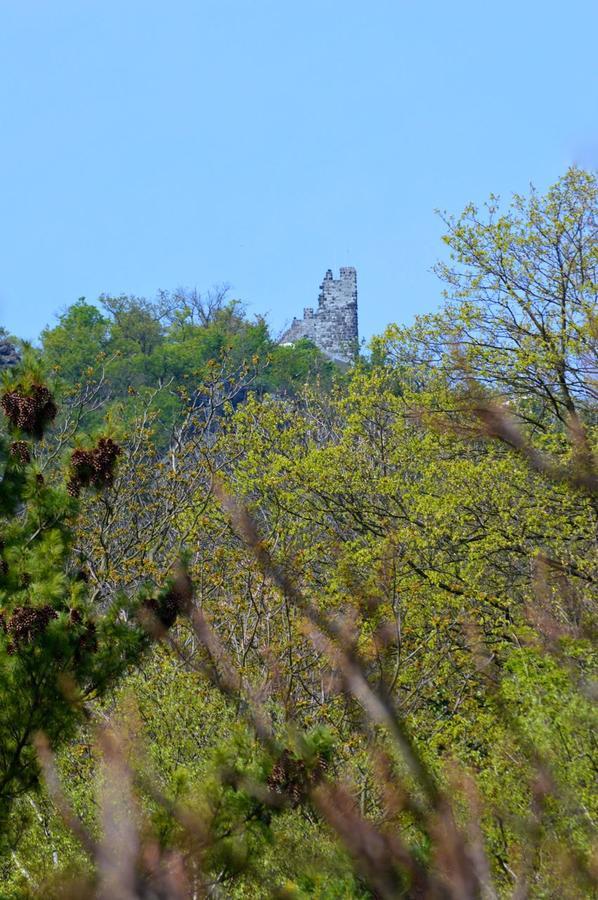 Hotel Weinhaus Hoff Bad Honnef Exteriör bild